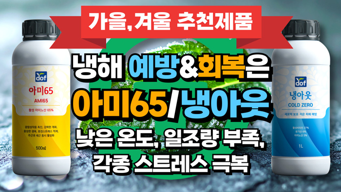 가을, 겨울 추천제품 냉해 예방&회복