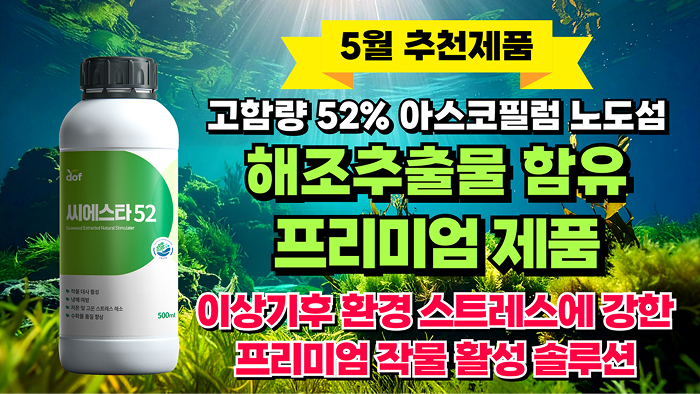 해조추출물 함유 프리미엄 제품